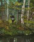 New York - an Adirondack Carry Ca 1902 Art Print