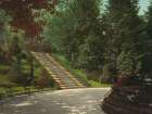 New York - Floral Steps Prospect Park Brooklyn Ca 1904 Art Print