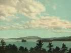 New York - South from the Sagamore Green Island Lake George Ca 1904