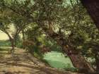 North Carolina - by the Swannanoa Asheville Ca 1902 Art Print