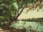 North Carolina - the French Broad at Jacks Run Ca 1902 Art Print