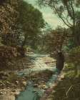 Ohio - Waterfall in Wade Park Cleveland Ca 1901 Art Print