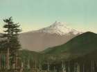 Oregon - Mt Hood Ca 1898 Art Print