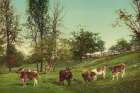 Rural America - Meadowland Ca 1902