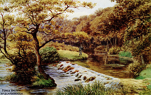 Forge Valley Near Scarborough Art Print
