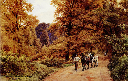Lane Near Cockington, Torquay, Devon Art Print