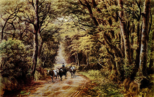 Tennysons Lane, Hindhead, Surrey
