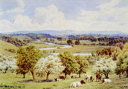 Vale of Evesham, Worcestshire Art Print