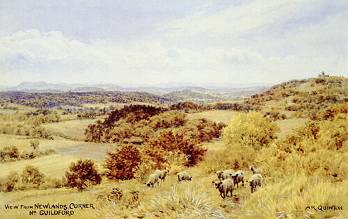 View from Newlands Corner, Guildford Art Print
