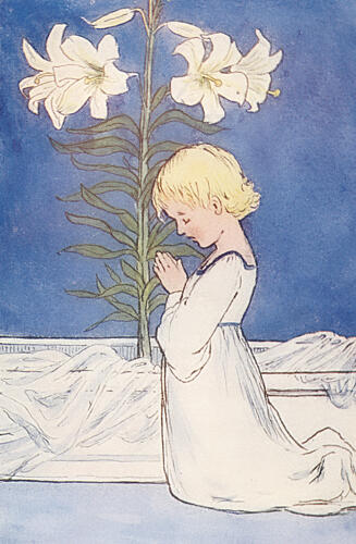 Madonna Lily, Summer Flowers C.1910