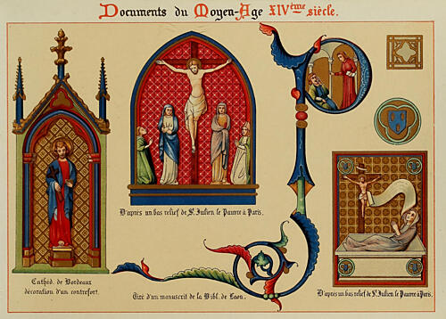 Var. Christ, Fleurs DApres Nature Et Fleurs Ornementales 1890