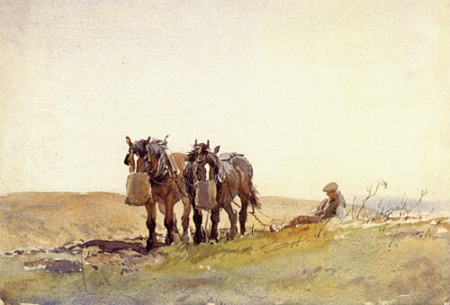 Feeding Time Art Print by George Soper