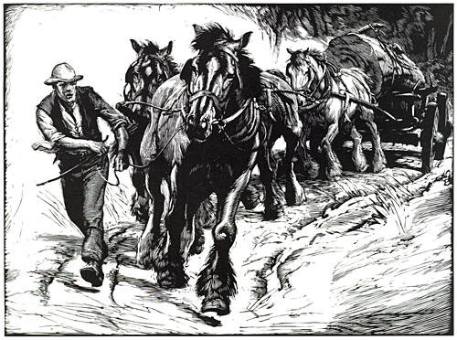 Horse Engraving