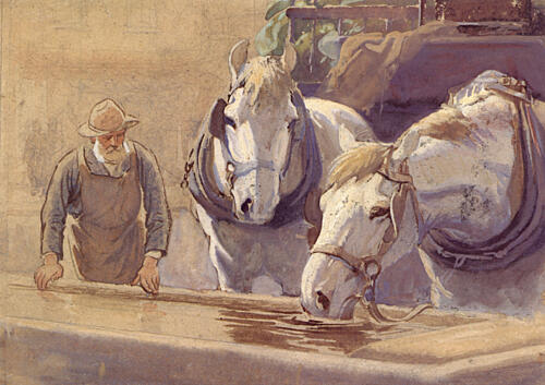 Horses at a Drinking Trough