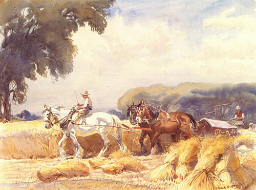 Working Horses on a Farm