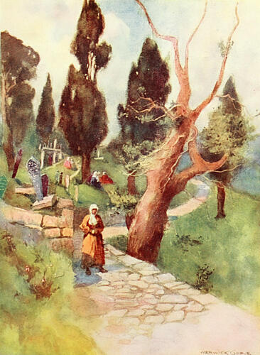 Cemetery at Eyoub, Constantinople 1906