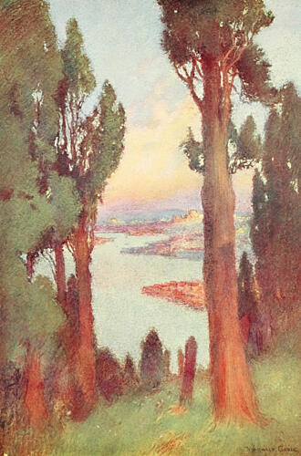 Constantinople and Golden Horn, Constantinople 1906