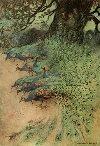 Hundreds of Peacocks, Folk Tales of Bengal 1912