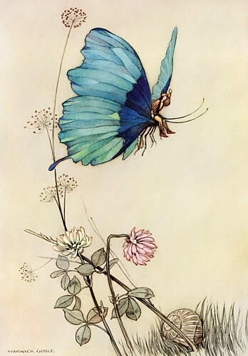 The Butterfly Took Wing, the Fairy Book 1913 Art Print