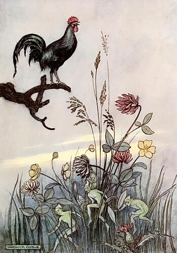 The Cock Crowed for the Third Time, the Fairy Book 1913 Art Print