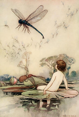 A Dragonfly, the Water-Babies 1909 Art Print by Warwick Goble