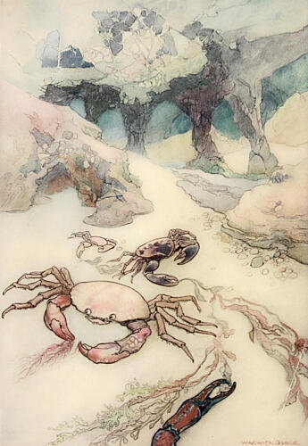 The Islands Roots Were Full of Caves, the Water-Babies 1909