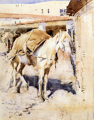 A Moorish Packhorse 1888