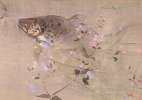A Trout Rising Ca 1907