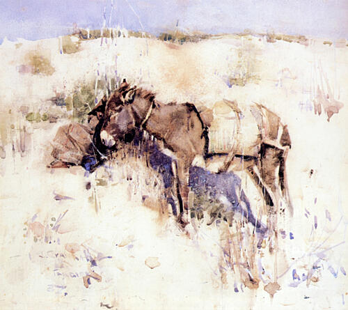 Donkey, Tangier 1887 Art Print by Joseph Crawhall