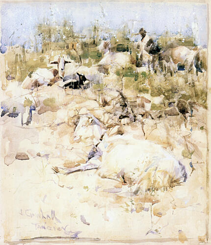 Goats on a Hillside, Tangier 1887 Art Print by Joseph Crawhall