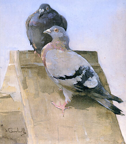 Pigeons on the Roof Ca 1895 Art Print by Joseph Crawhall