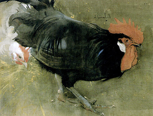 The Black Cock Ca 1894