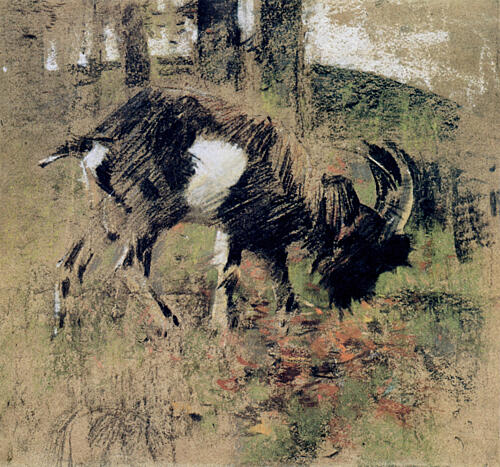 The Goat 1889