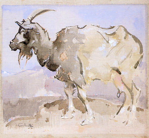 The Goat Ca 1893-1900