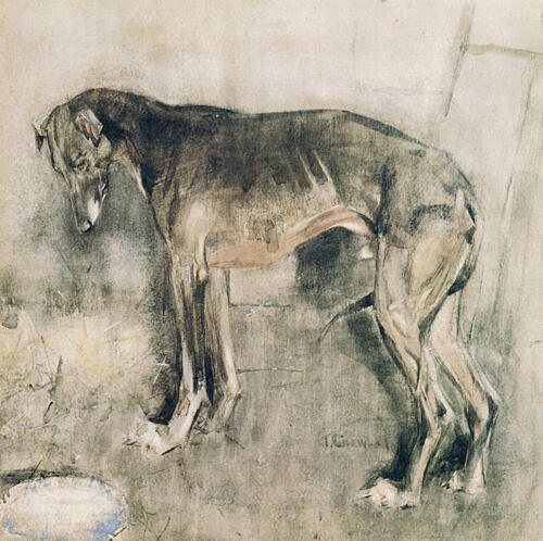 The Greyhound Ca 1884