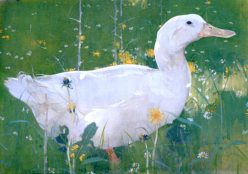 The White Drake Ca 1895 Art Print