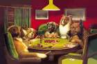 Poker Dogs: A Bold Bluff, 1903 Art Print
