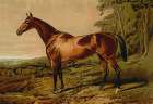 Fair Nell, 1900 Art Print