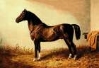 Don Carlos, 1900 Art Print