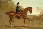 Book of the Horse, 1900 Art Print