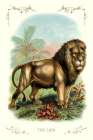The Lion, 1900 Art Print by Unknown