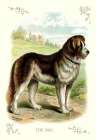 The Dog, 1900 Art Print by Unknown