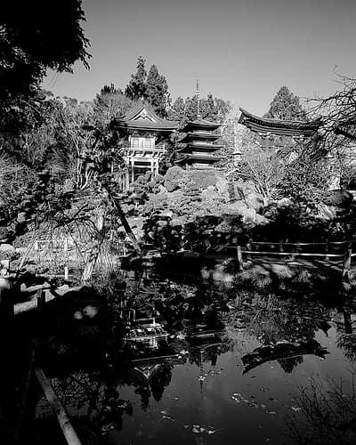 Japanese Tea Garden at Golden Gate Park San Francisco California Photography Print