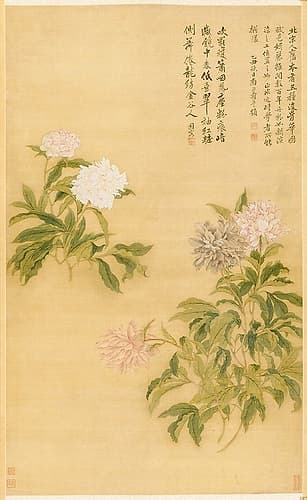 Peonies Art Print