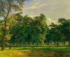 Prater Landscape Art Print