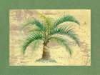 Palm Tree IV Art Print