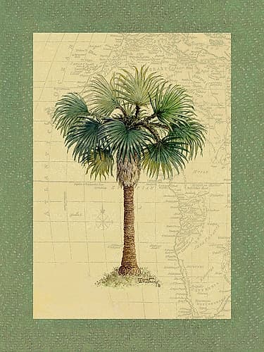 Palm Tree V Tropical Print