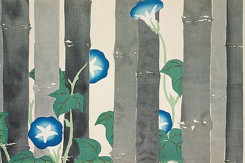 Morning glories from Momoyogusa Art Print