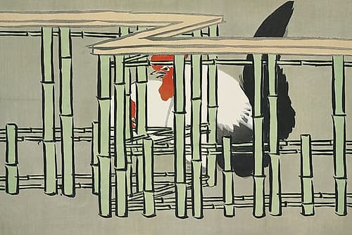 Roosters from Momoyogusa Nature Print