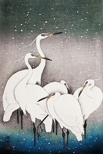 Group of Egrets Art Print